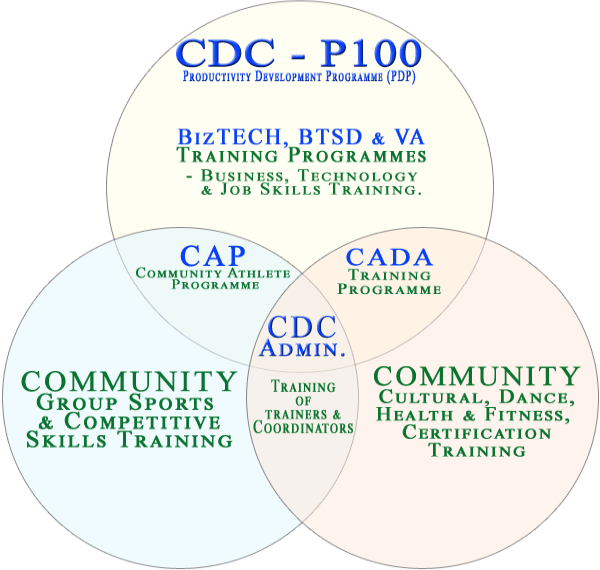 PDP P100 Programme Structure PDP P100 Programme Structure